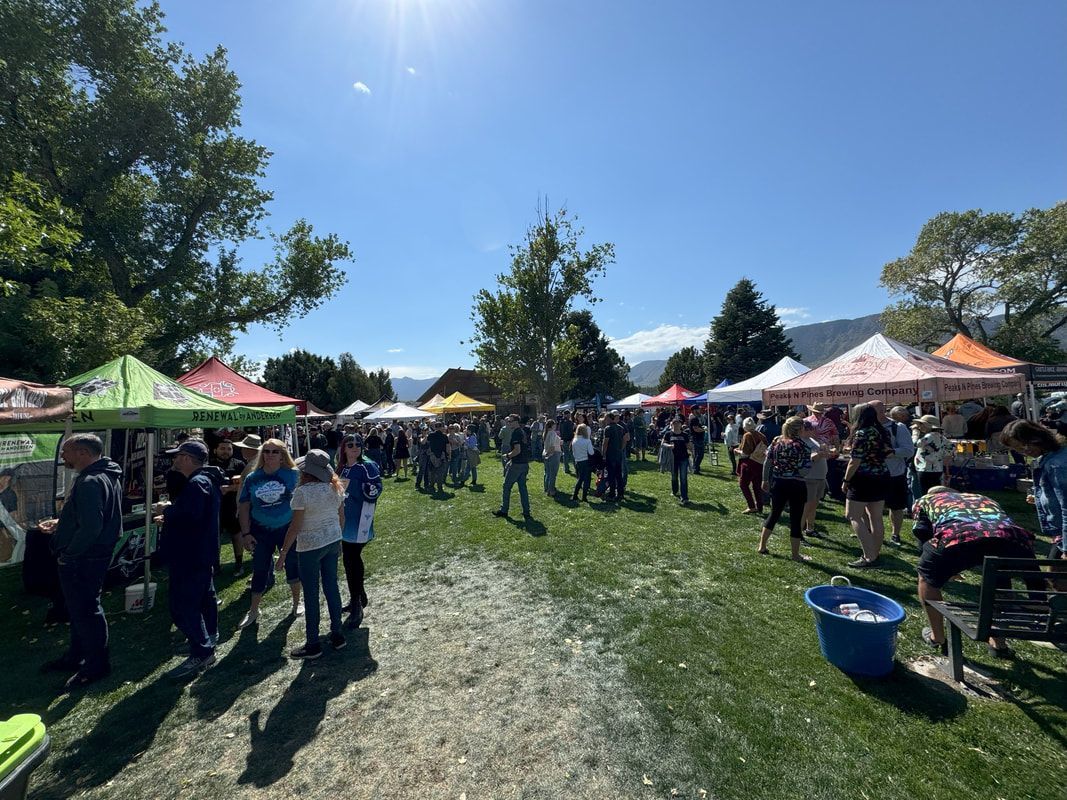 Outdoor market with vendor tents, a crowd of people on grass, blue sky.