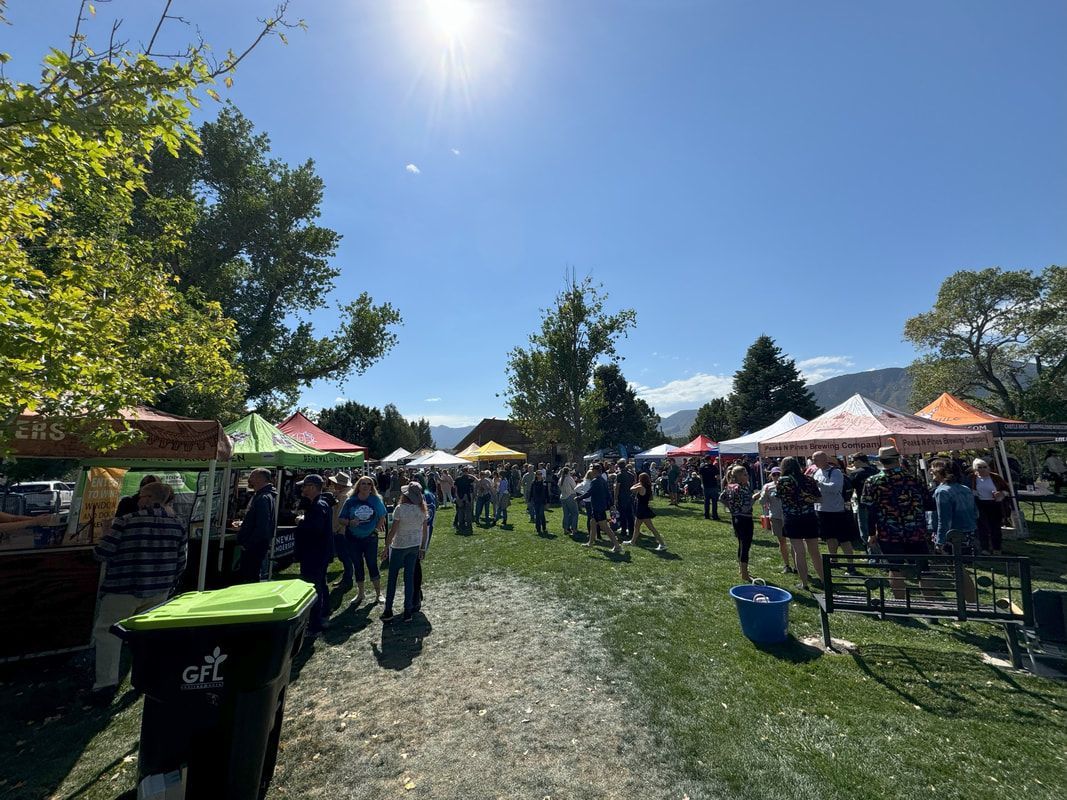 Outdoor farmers market on a sunny day. People browse stalls with colorful tents.