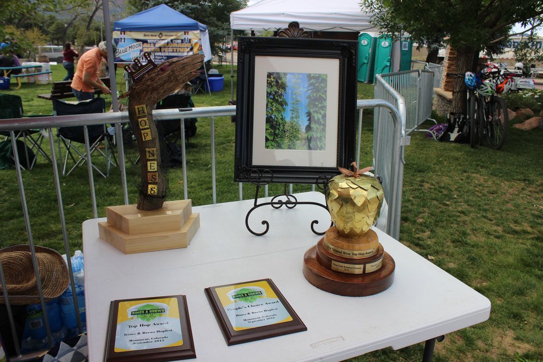 Trophies and framed art on a white table at an outdoor event.
