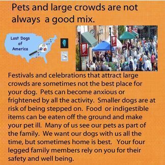 Poster about pet safety in crowds, with photo of crowd and map.