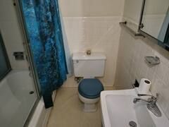 A bathroom with a toilet , sink , and shower.