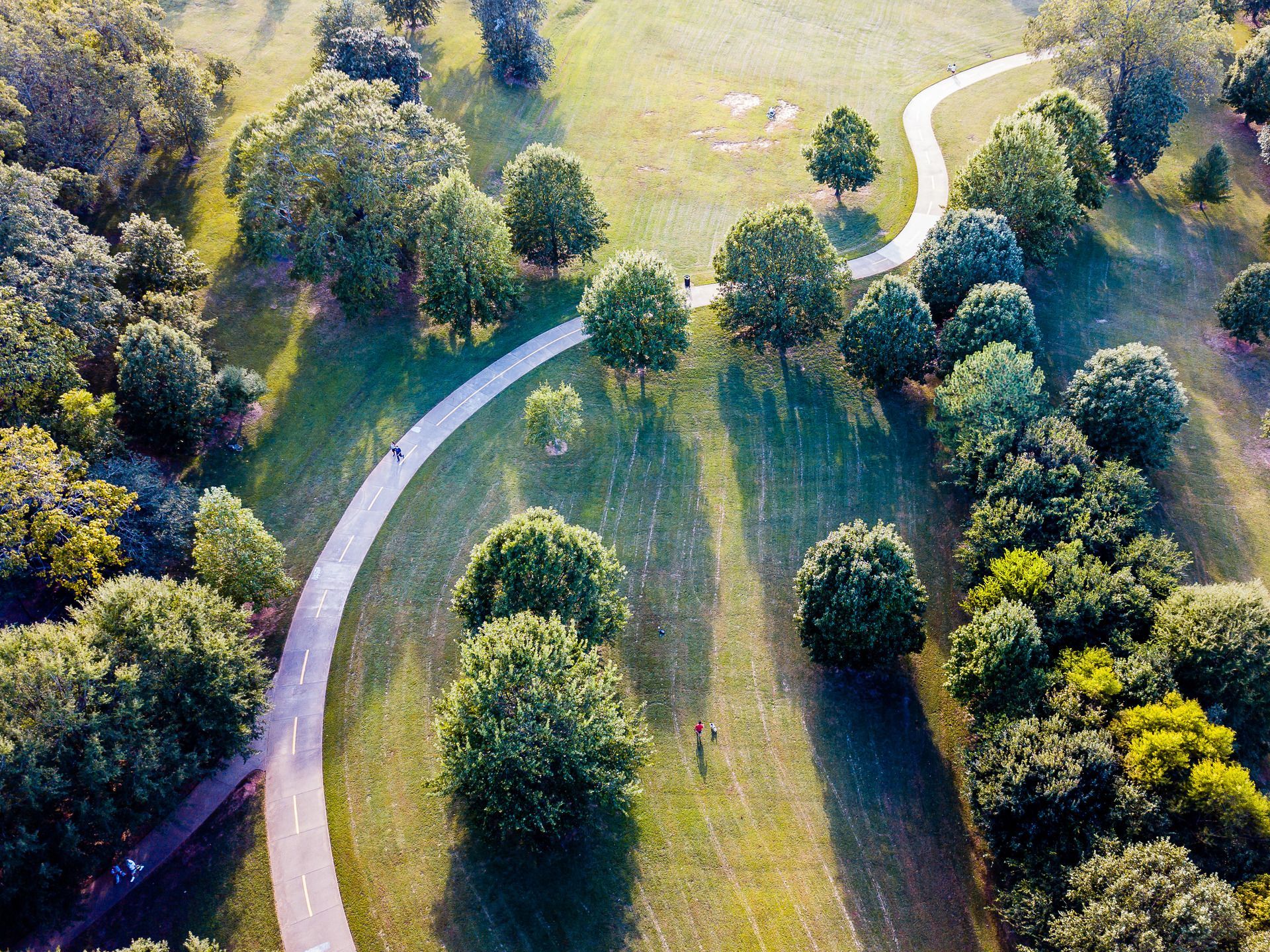 Aerial view of a park with a winding path, surrounded by green trees and sunlight casting shadows.