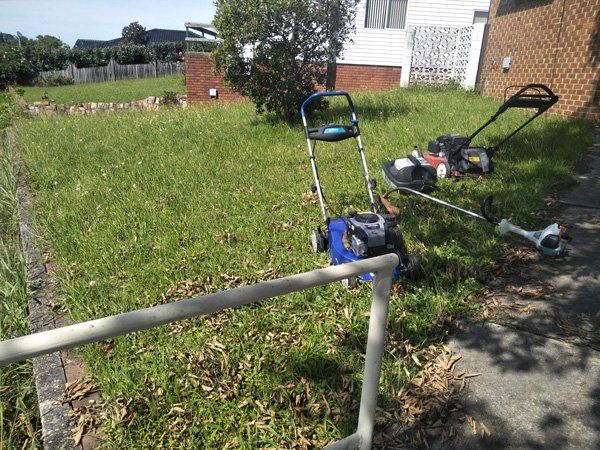 Grass Trimming - Fencing In Albion Park Rail, NSW