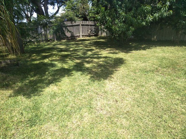 Newly Trimmed Grass - Fencing In Albion Park Rail, NSW