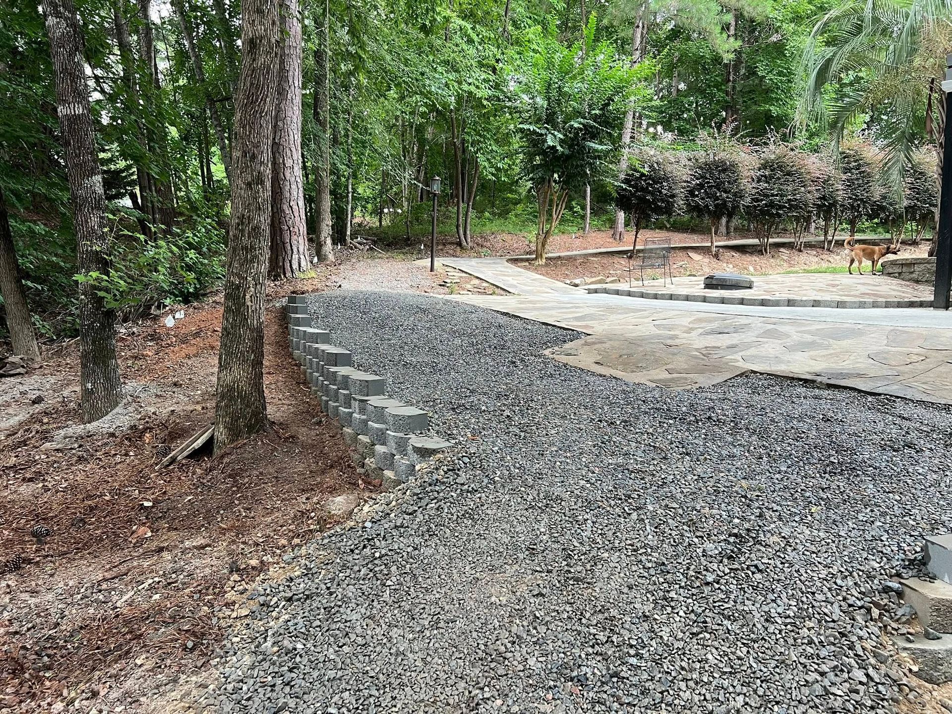 Gravel path curving through a wooded area beside a cleared campsite or yard work site