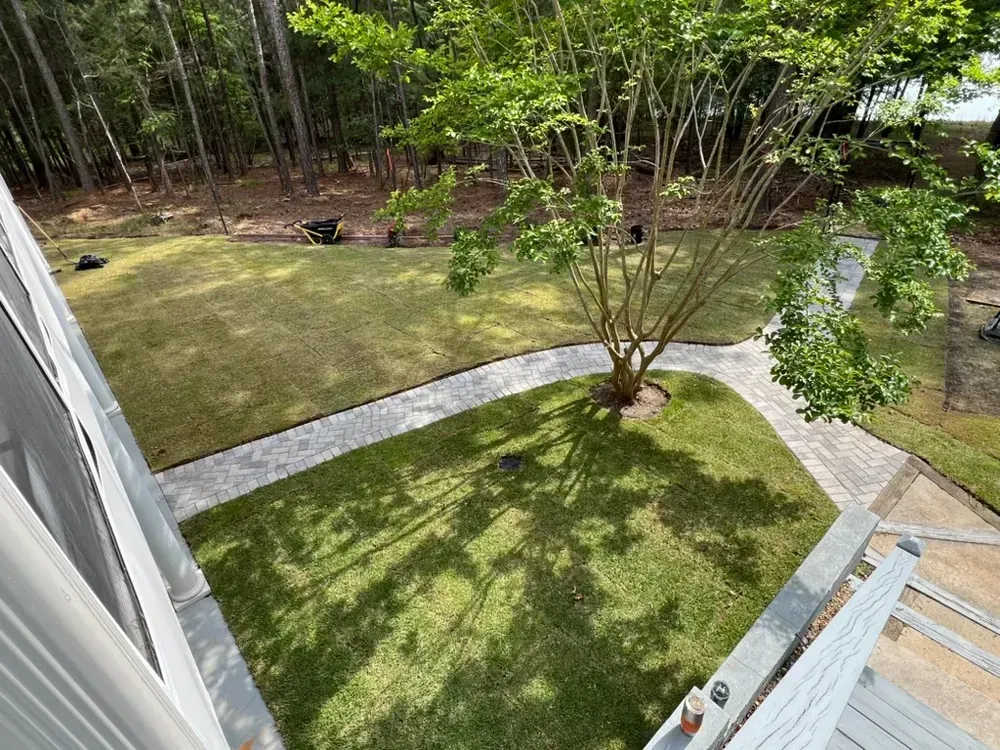 Backyard lawn with stone paths, trees, and a deck beside a wooded area