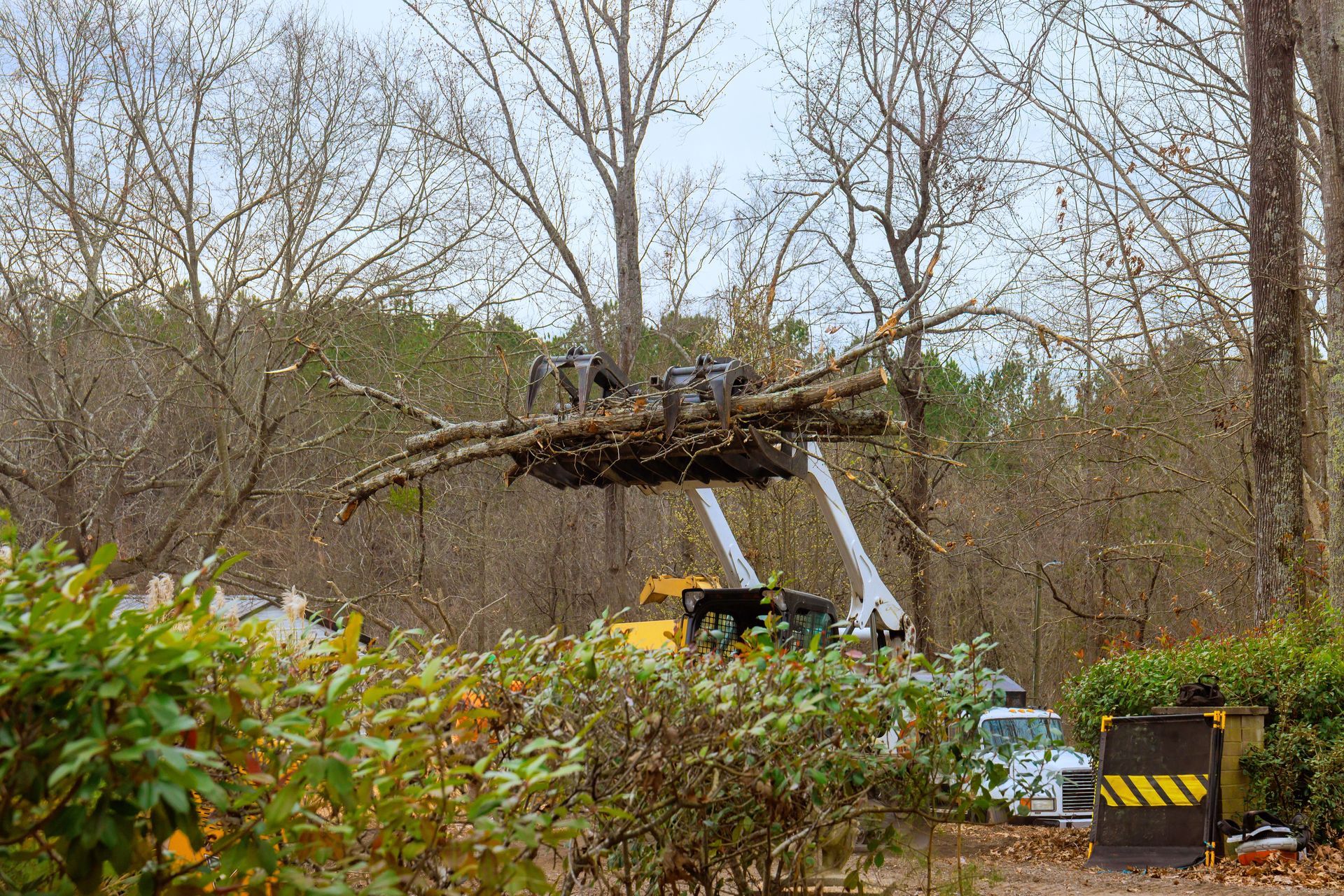 Workers in a cherry picker trim a large tree branch on a roadside in winter.