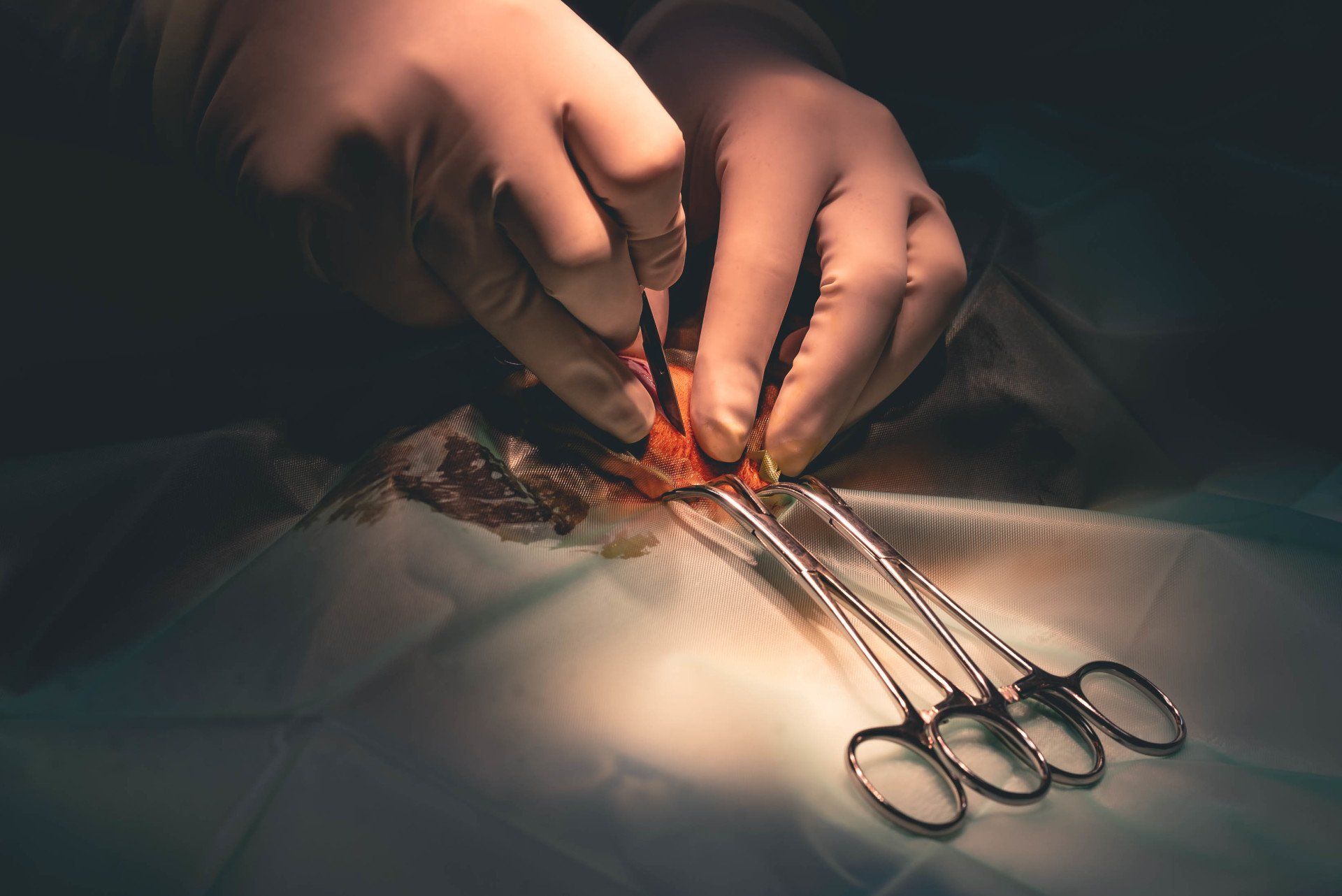 Accueil NAC Toulouse