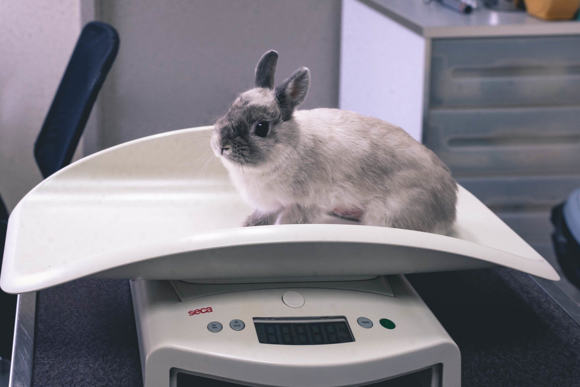 Salle d'attente Clinique des NAC