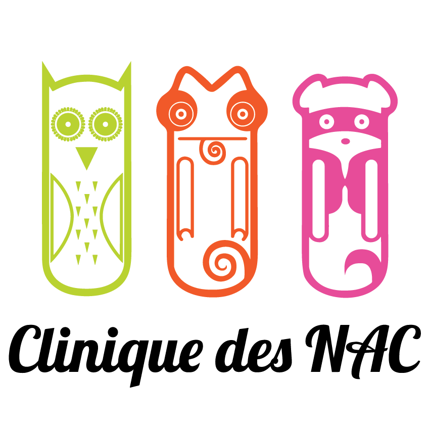NAC axolotl soin conseil veterinaire