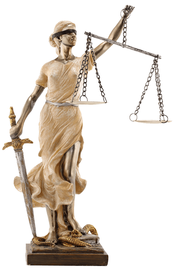 DESPACHO JURIDICO LIC. MARIO GONZALEZ GARAY 