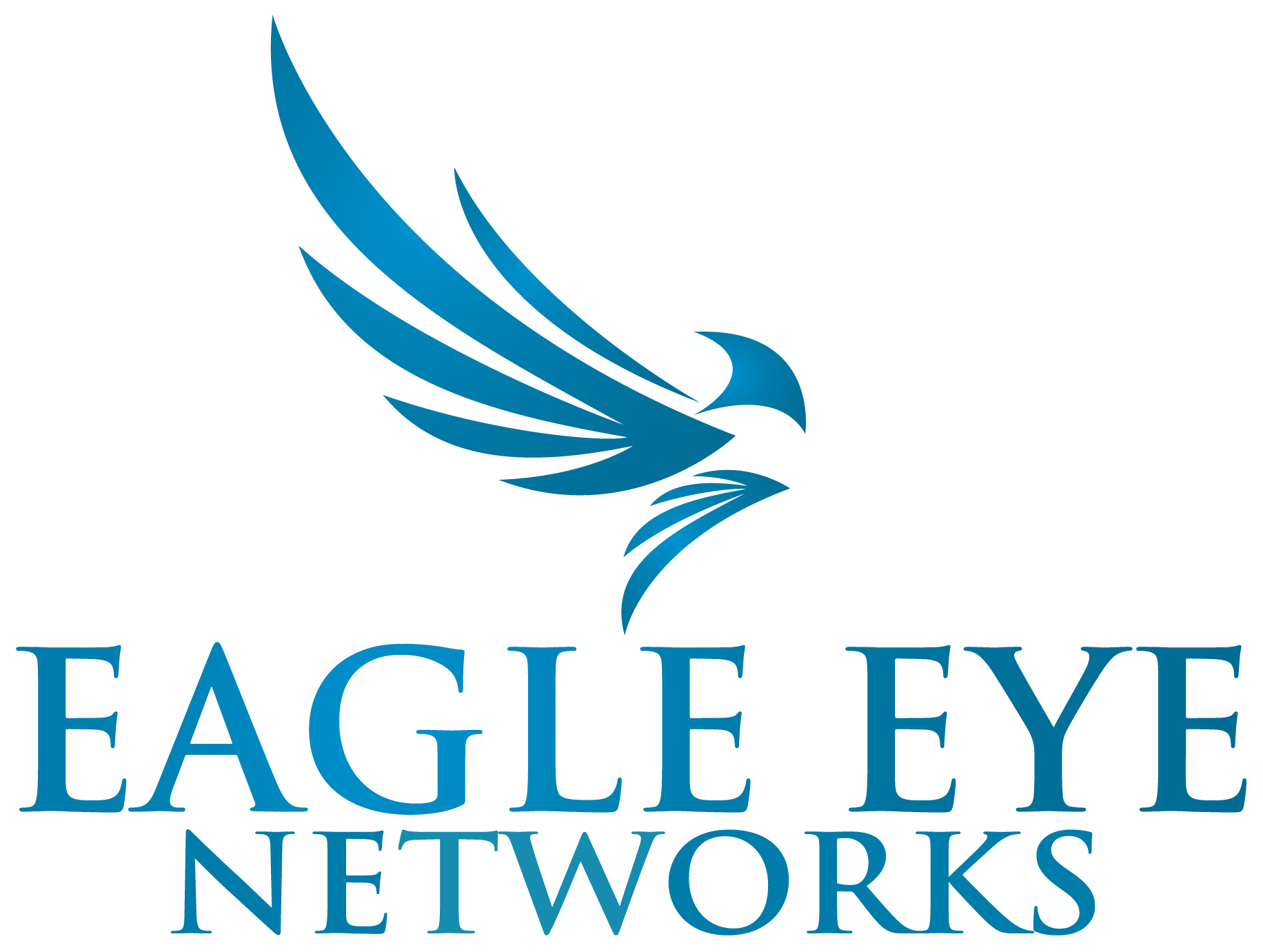 Eagle Eye Camera Installer New York | Sabre Integrated 212.974.1700