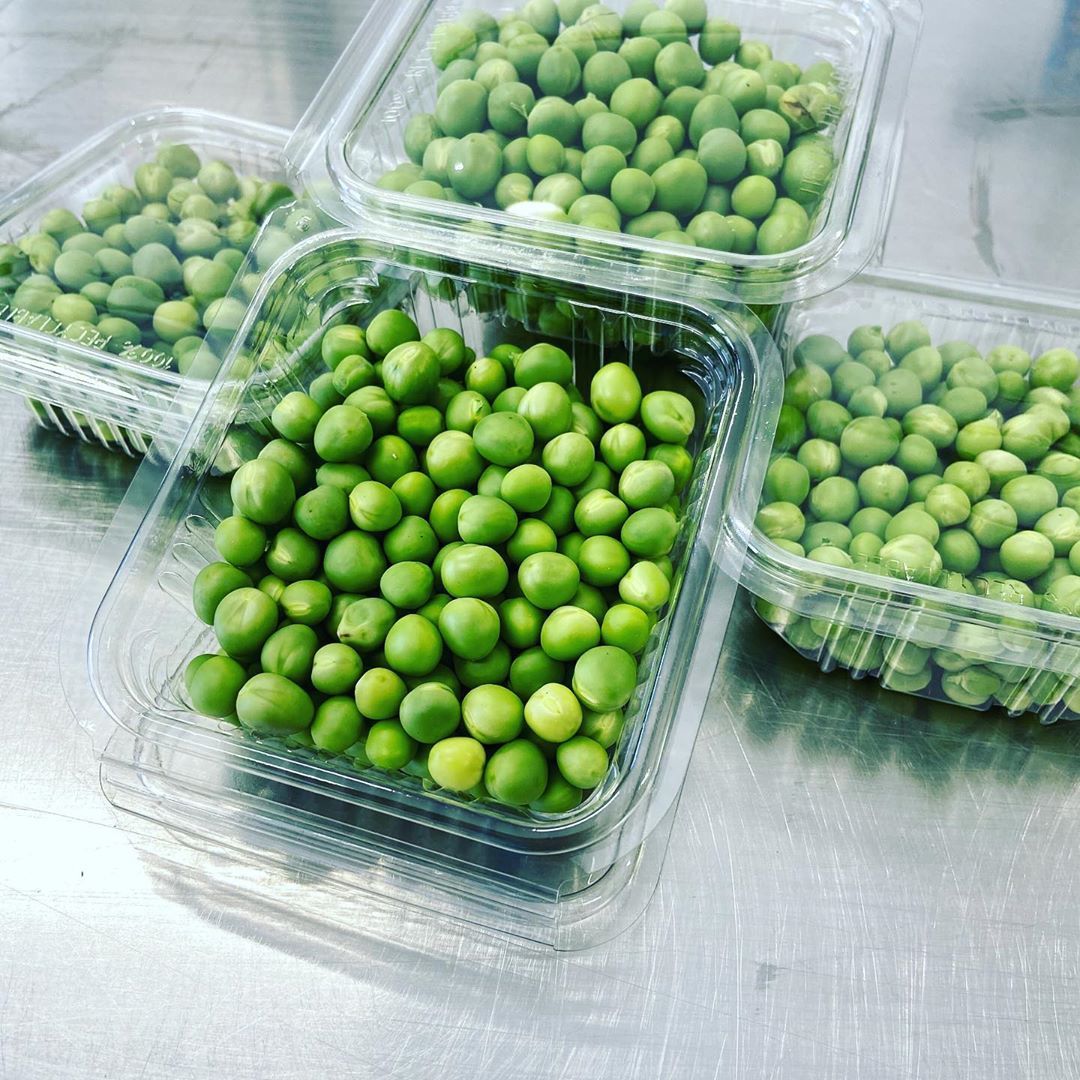 Selezione di piselli