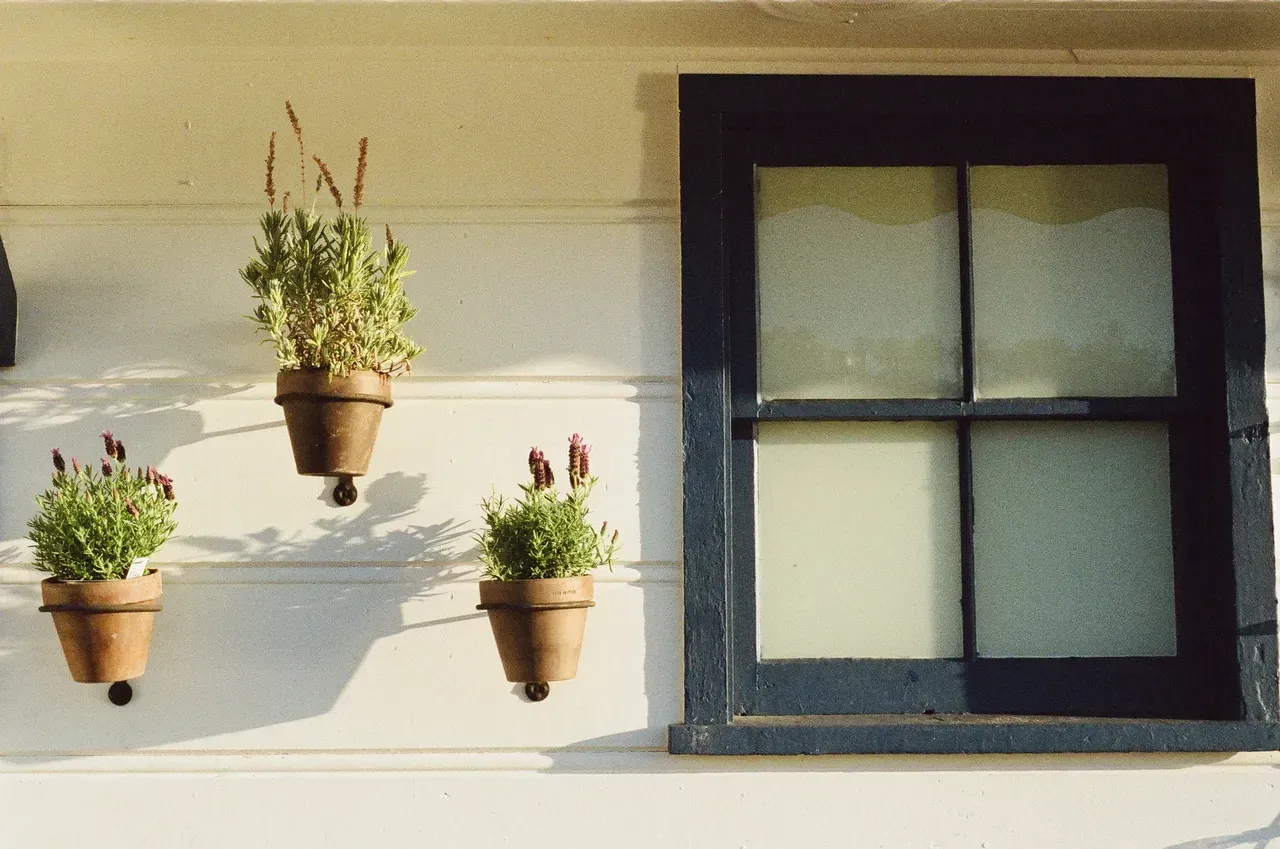 Three potted plants are hanging on a wall next to a window
