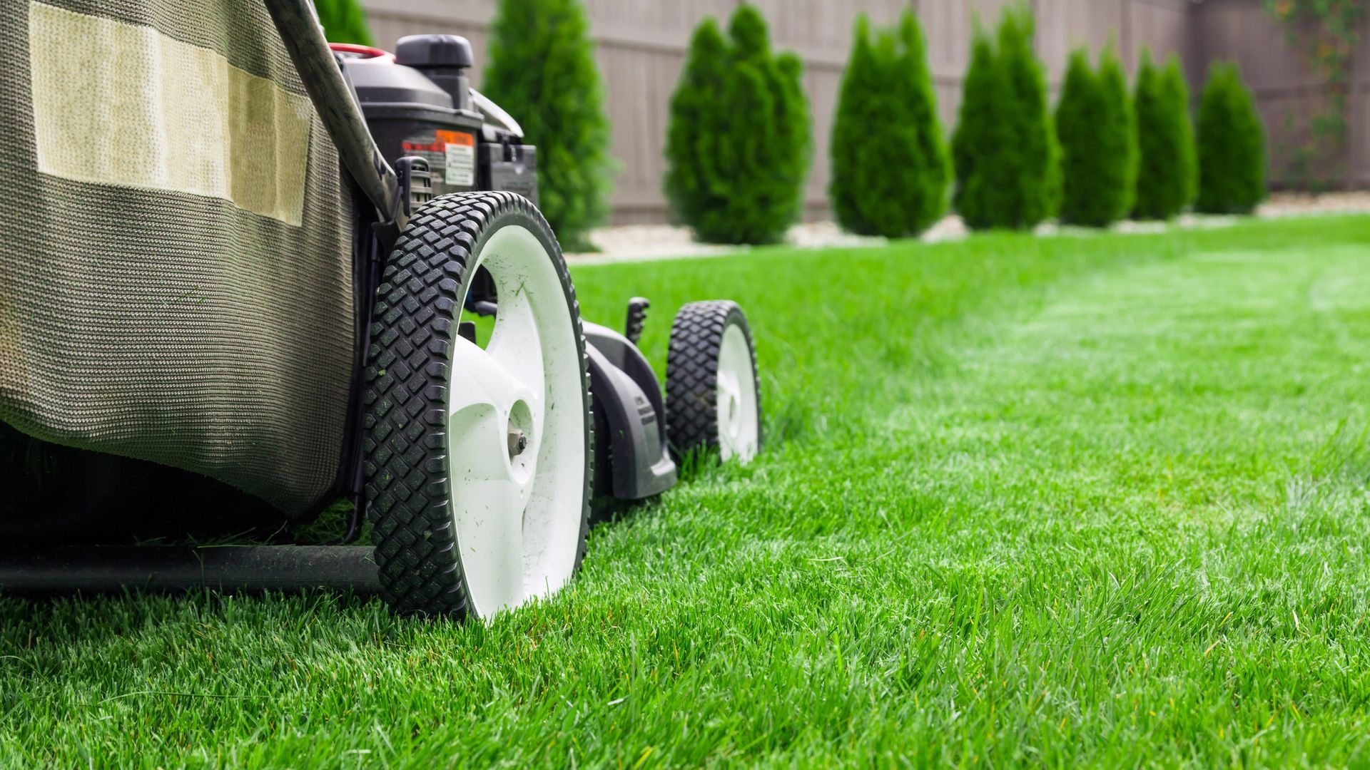 Lawn Care Services in Abingdon, VA