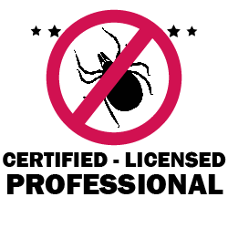 Tick with a red 