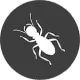 White termite silhouette on a dark gray circular background.