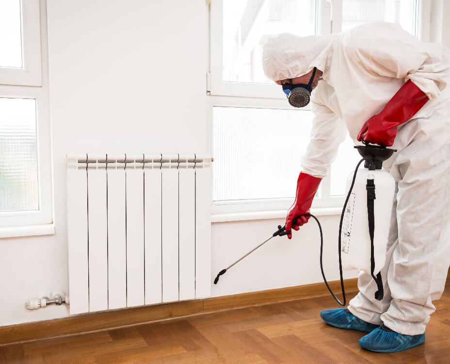 Person in protective suit sprays pesticide along baseboard indoors.