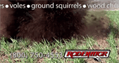A dark-colored animal kicking up dirt in green grass. Rodenator logo and phone number at the bottom.