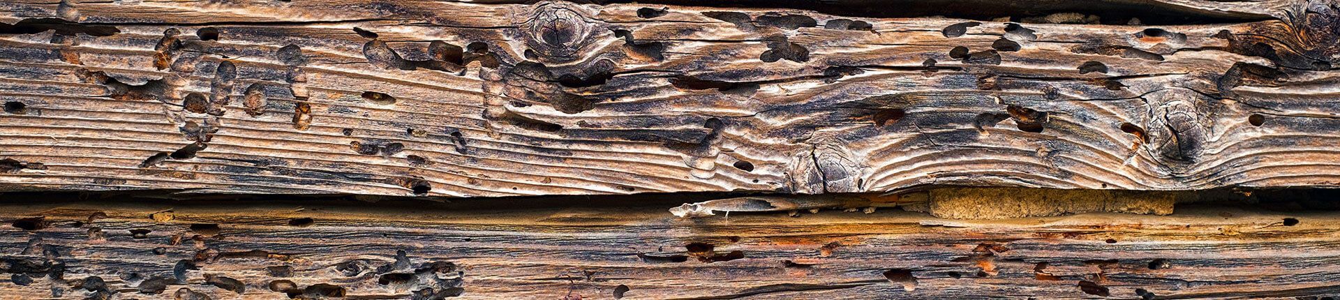 Close-up of weathered, textured wooden planks. Browns, tans, and blacks depict age and decay.