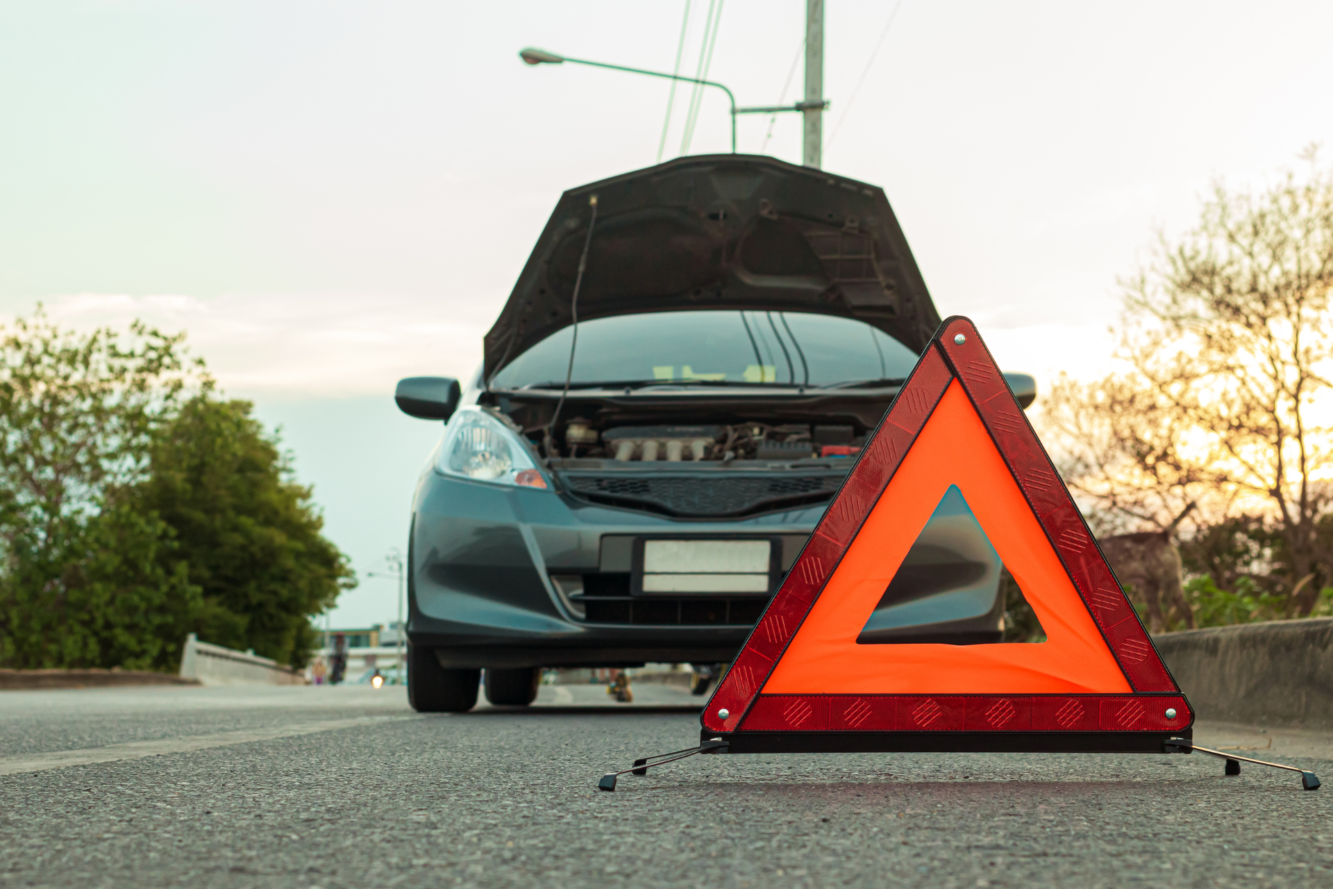 Roadside Emergency