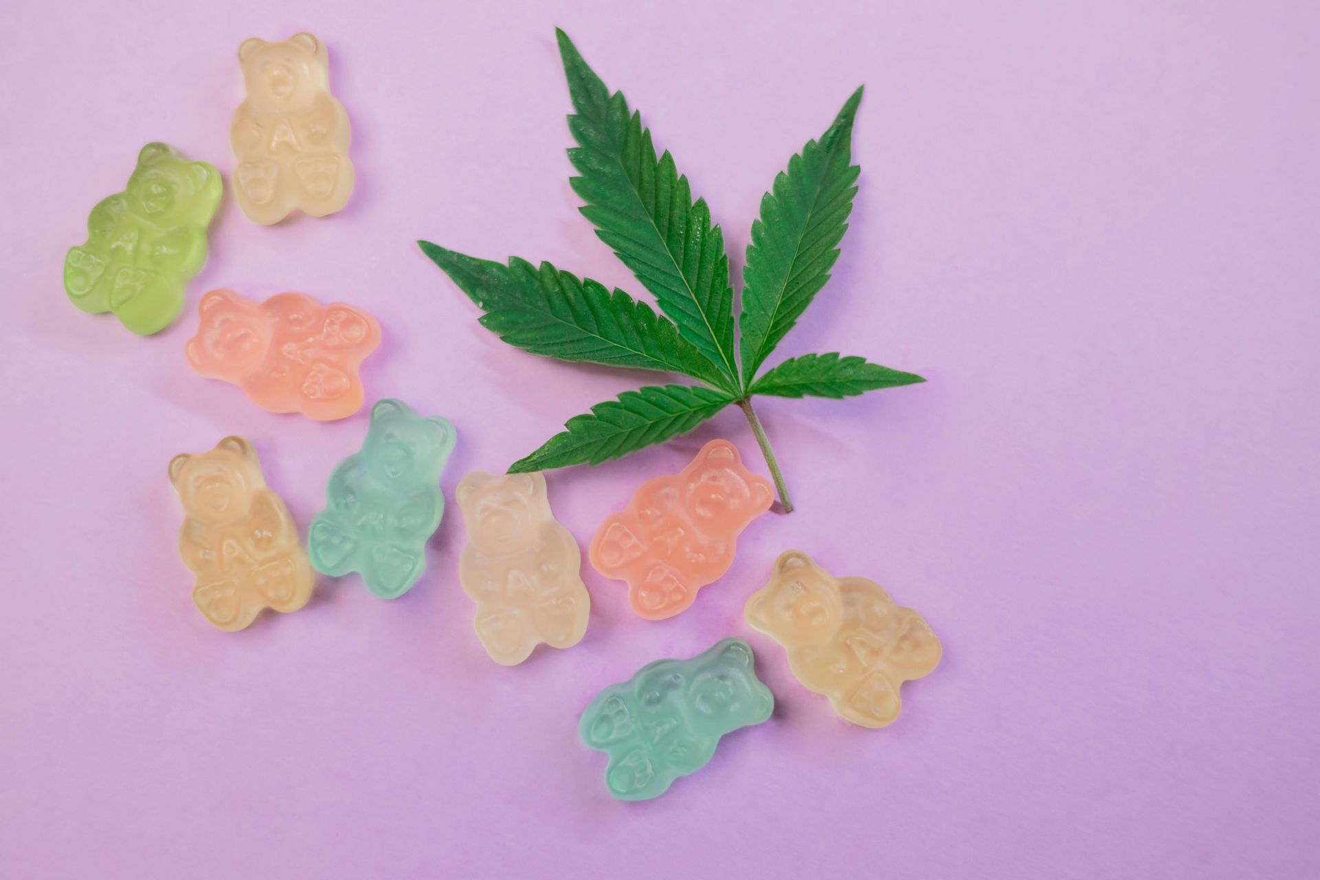 Colorful gummy bears surrounding a cannabis leaf on a purple background.