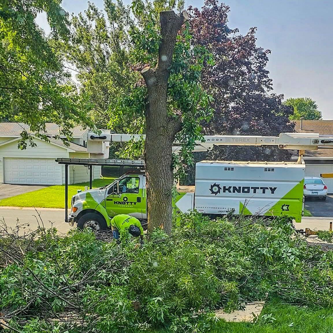 Green-and-white Knotty truck parked on a residential street beside a tree and houses