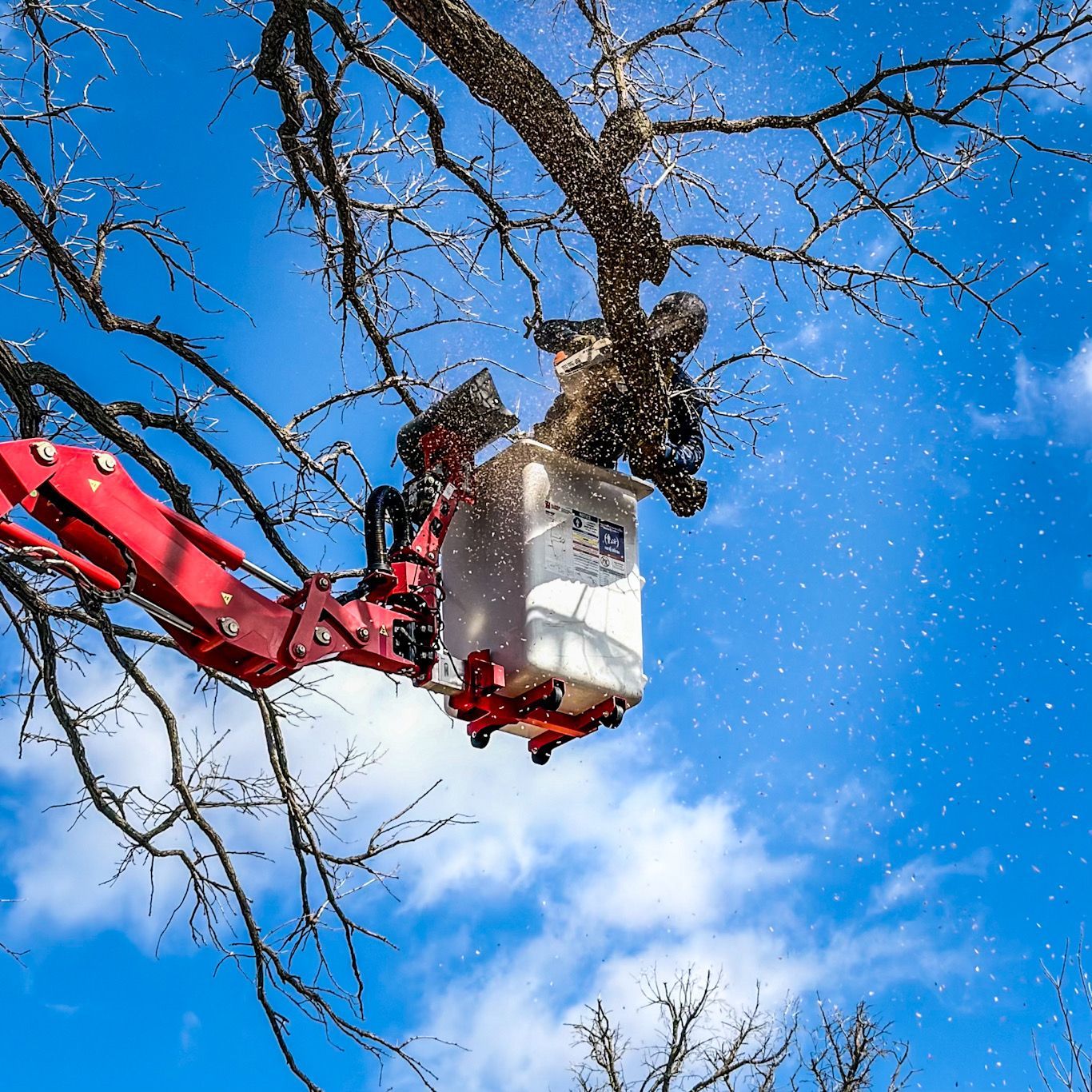 Worker in a red boom lift pruning tree branches against a bright blue sky.