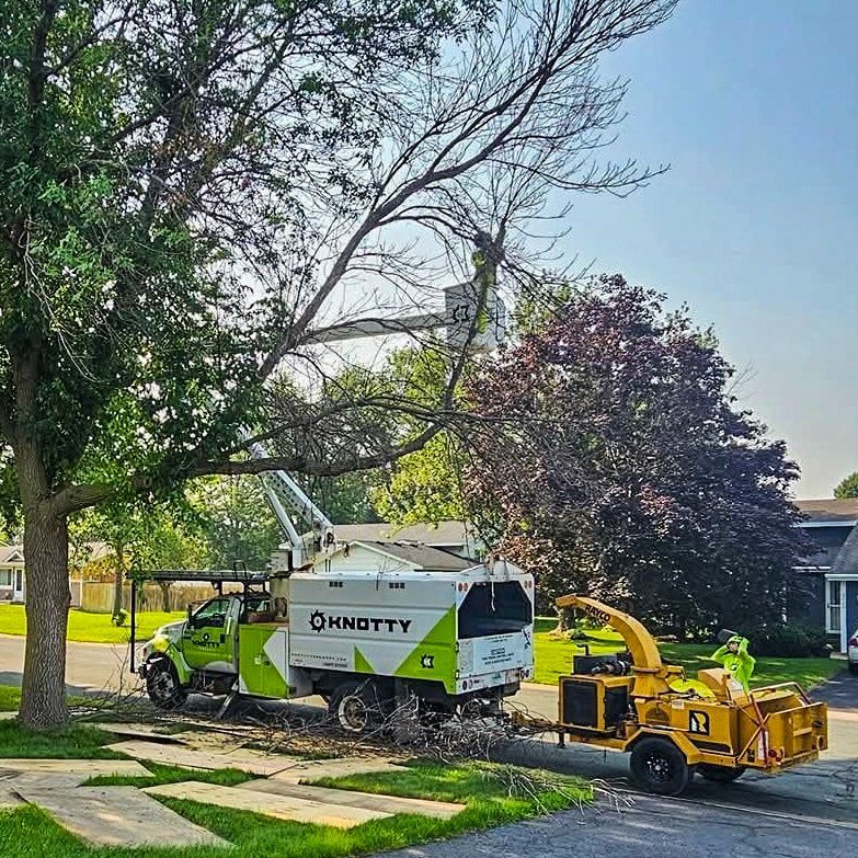 Green and white tree service truck with wood chipper parked on a residential street under large trees