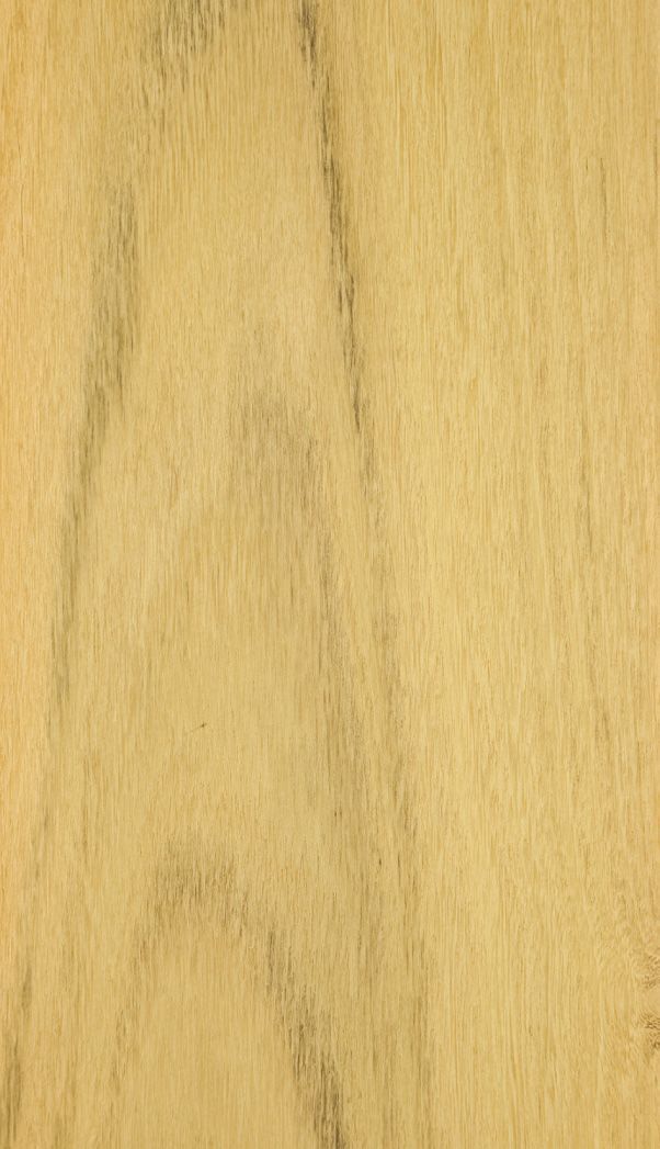 Acacia Crown cut veneer