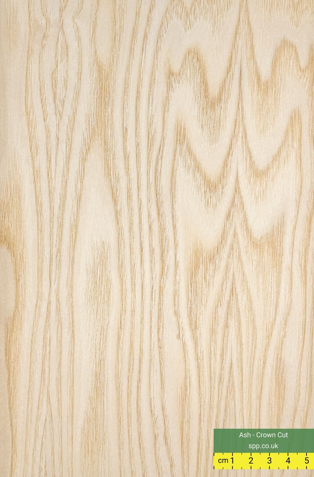 Crown Cut Ash Veneered Plywood
