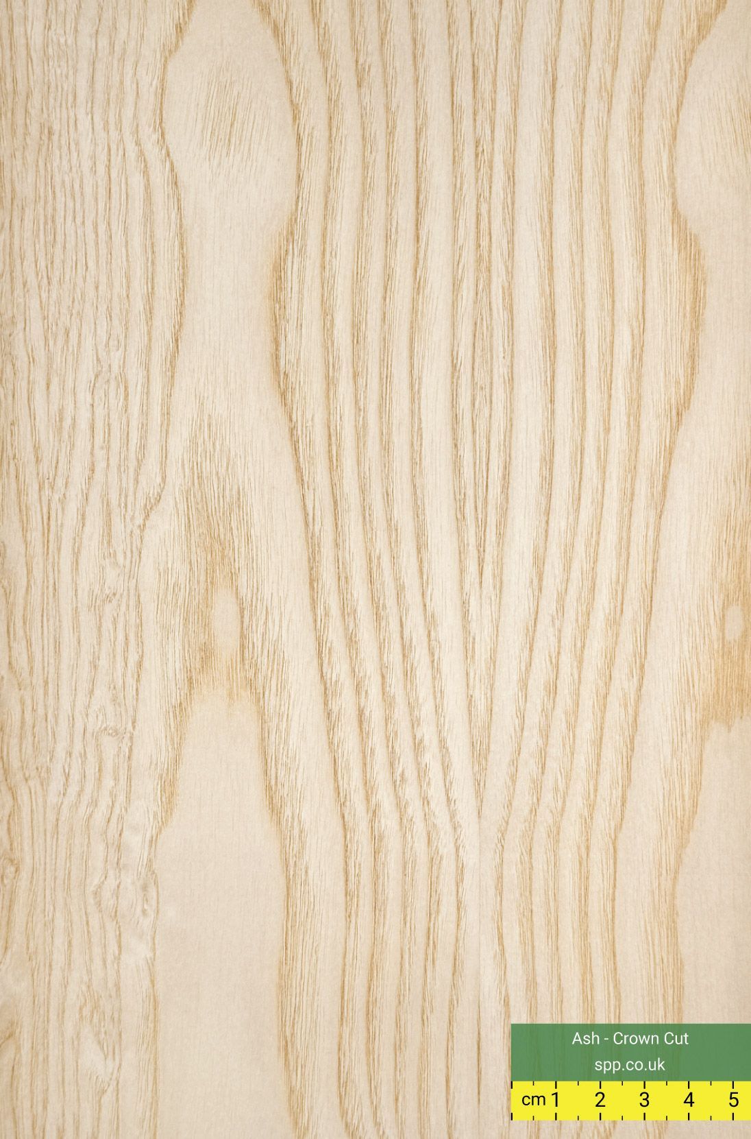 Ash Veneered Panels