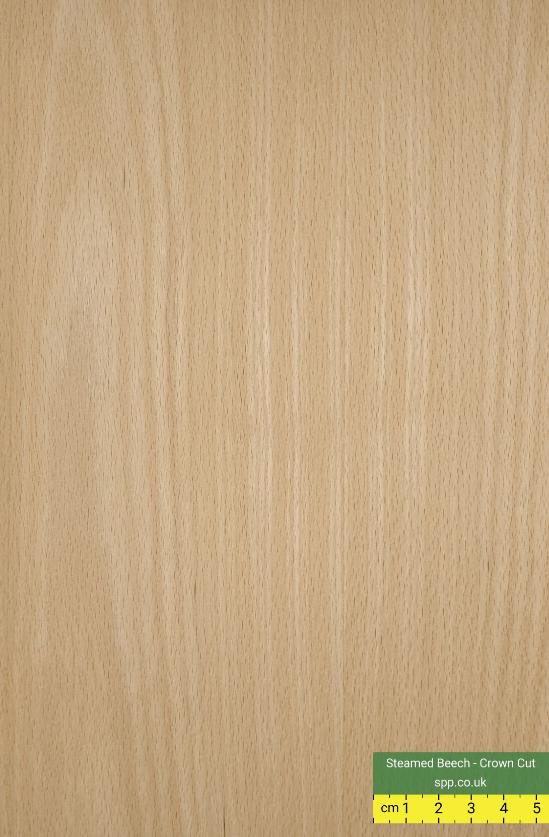 Steamed Beech Veneered