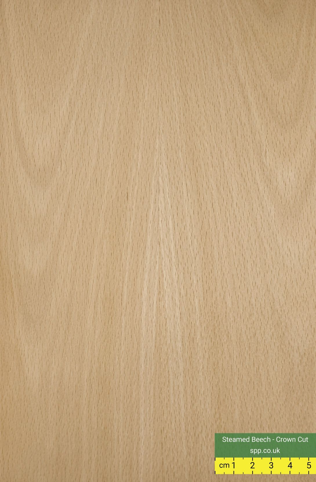 Steamed Beech Veneered Panels