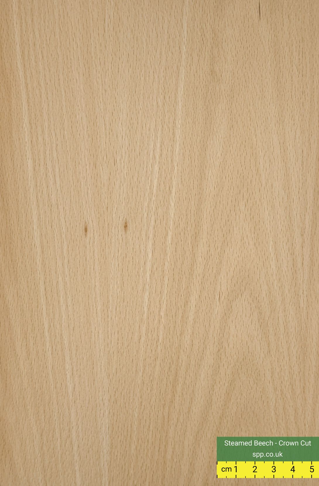Steamed Beech Veneered Sheets