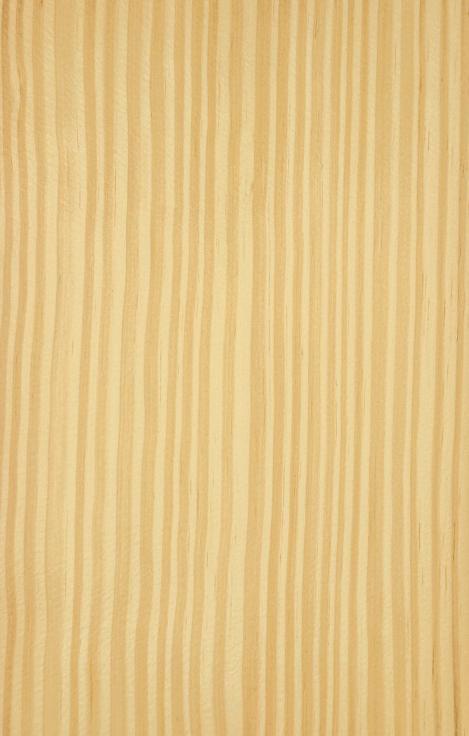 Carolina Pine veneer quarter cut