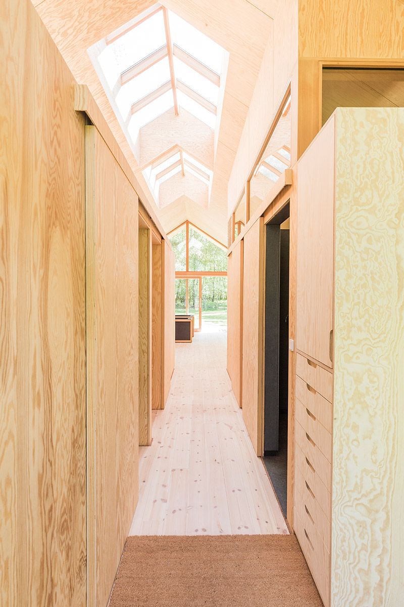 Pine Plywood Wall Sheets