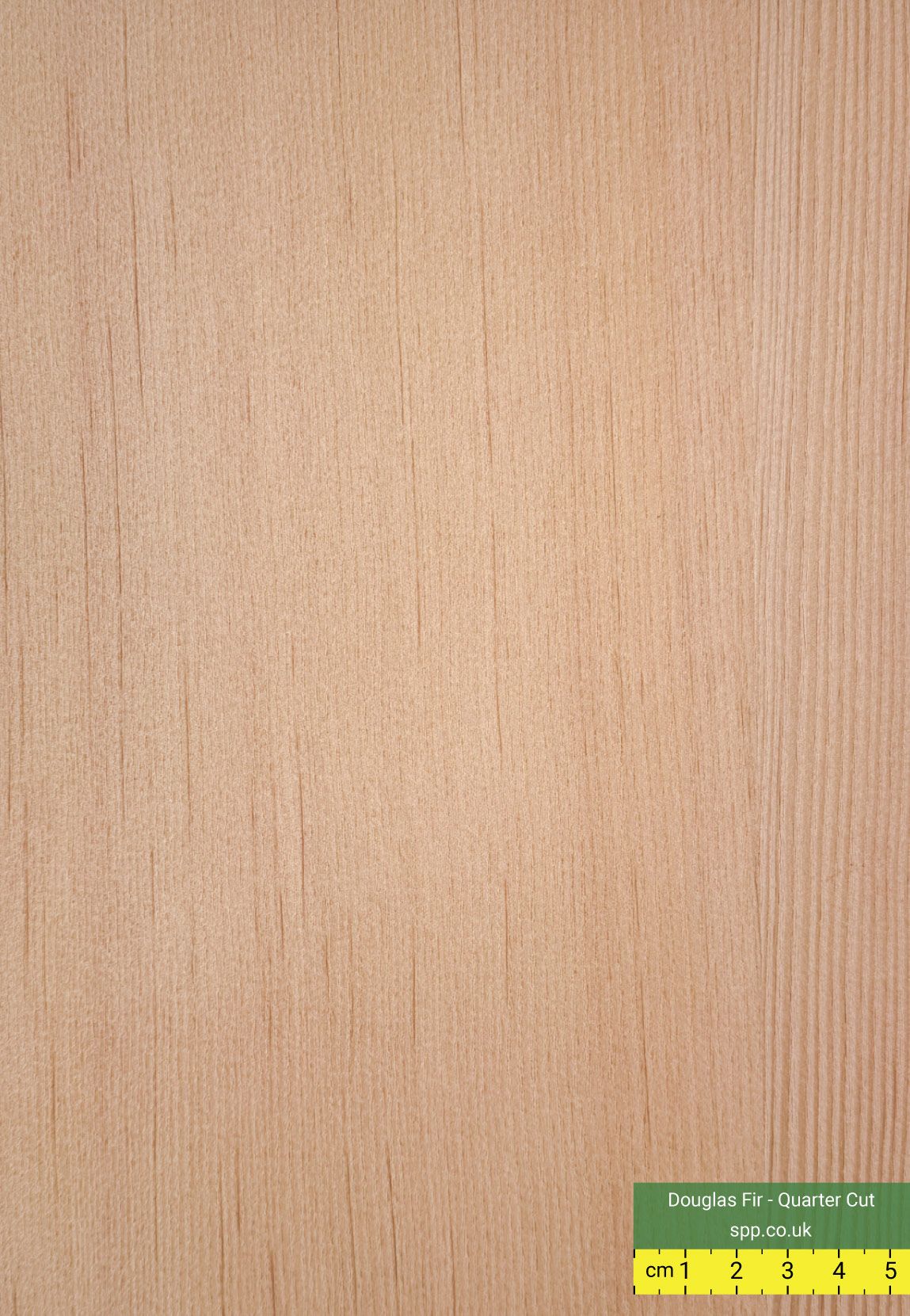 Douglas Fir Veneered Plywood