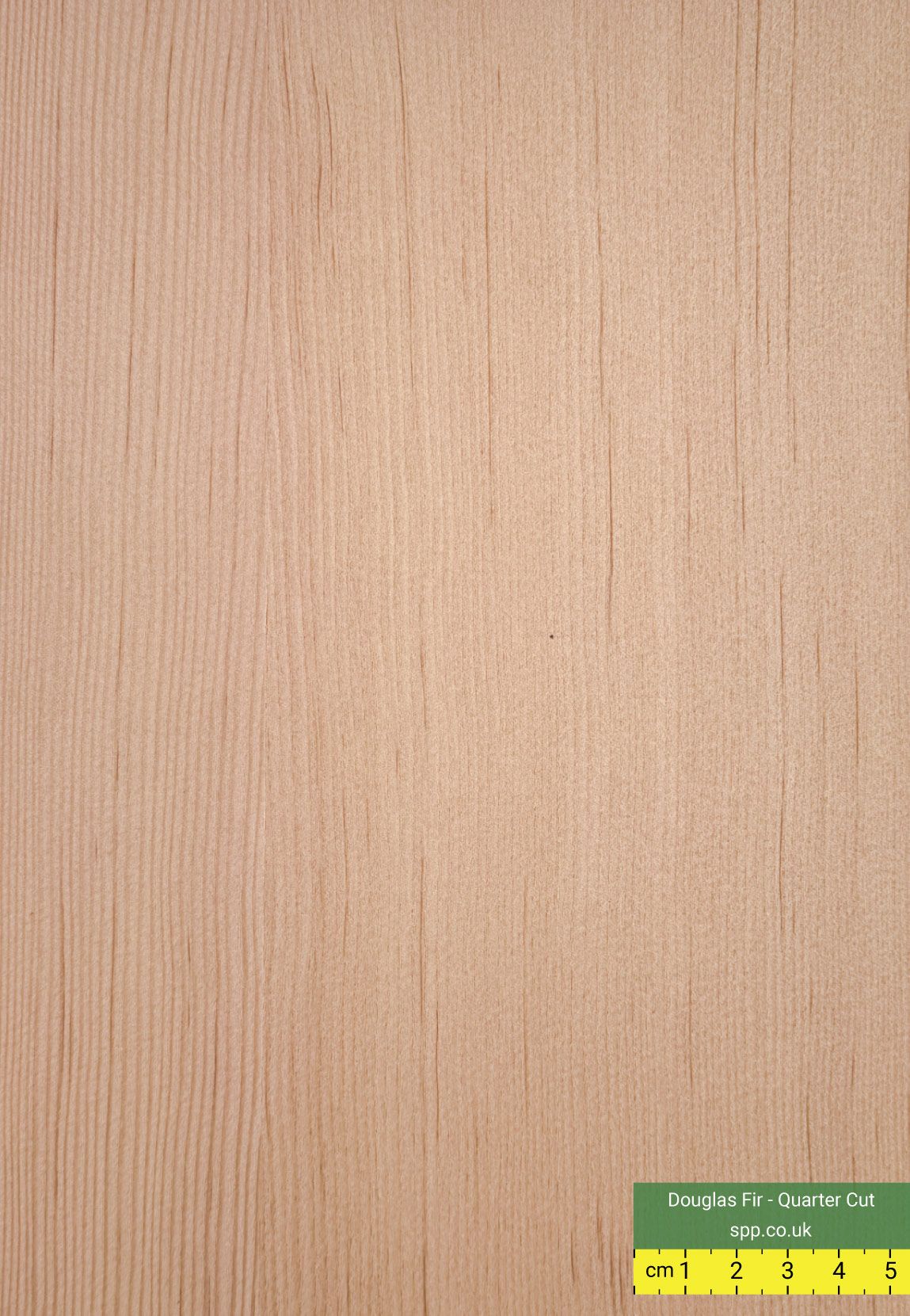 Douglas Fir Veneered Panels