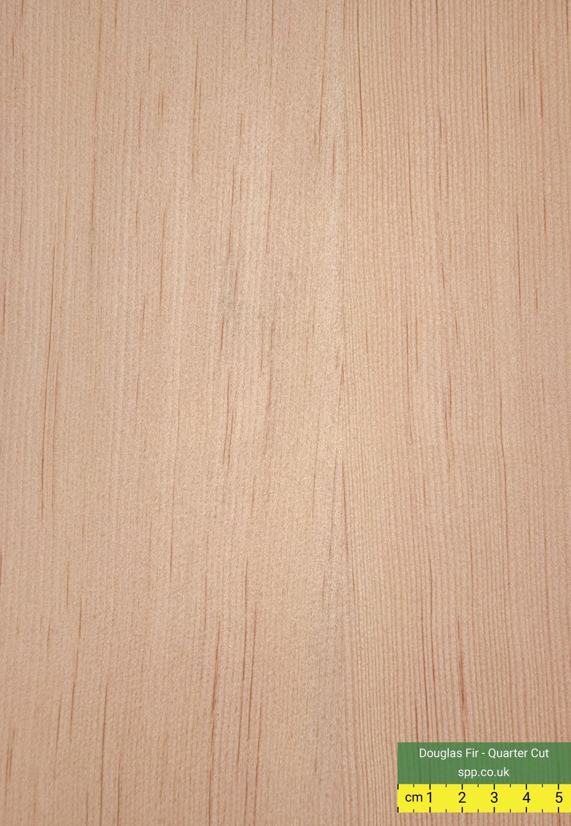 Canadian Douglas Fir Veneered Plywood