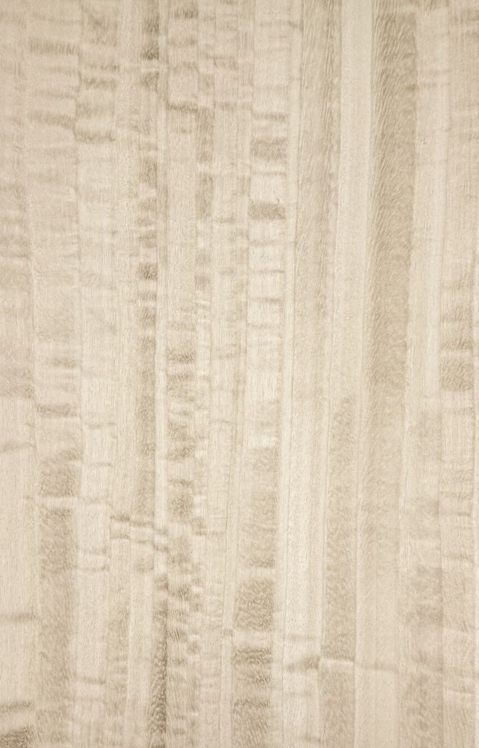 Eucalyptus Veneered in grey