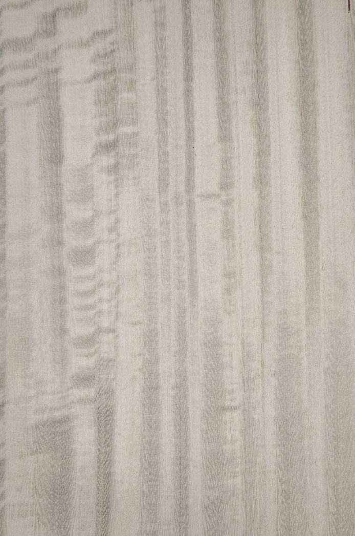 Shiny shimmering grey wooden panels