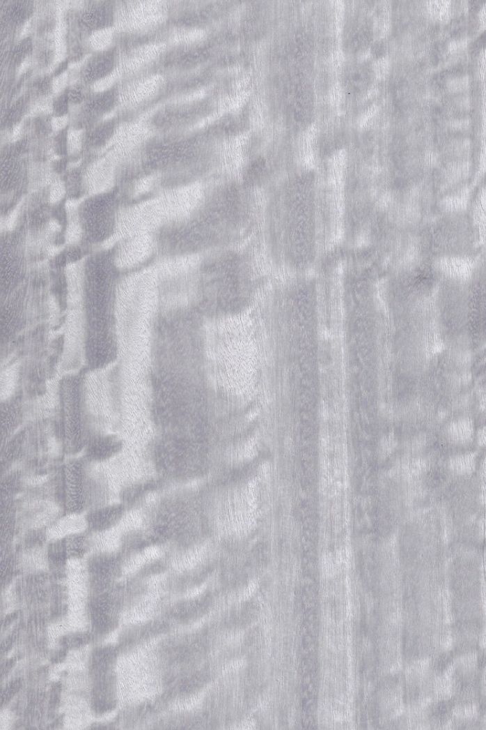 Iridescent silver grey wooden panels