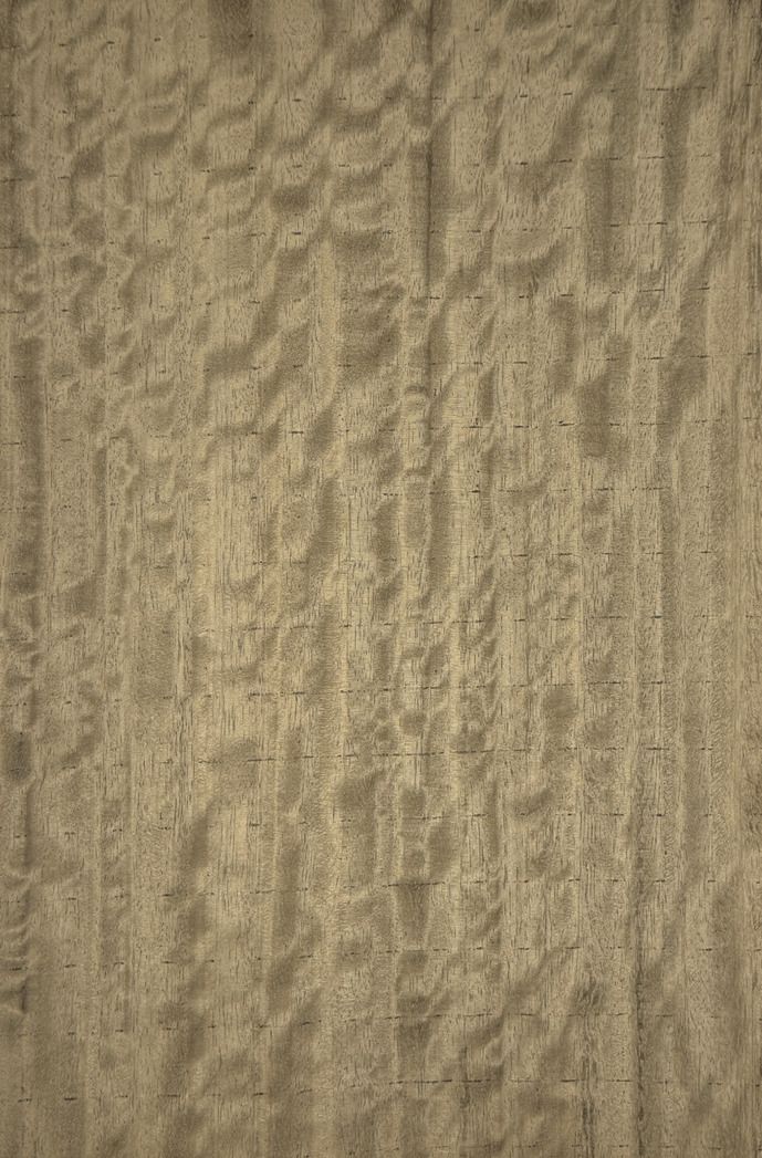 silver grey eucalyptus veneered plywood