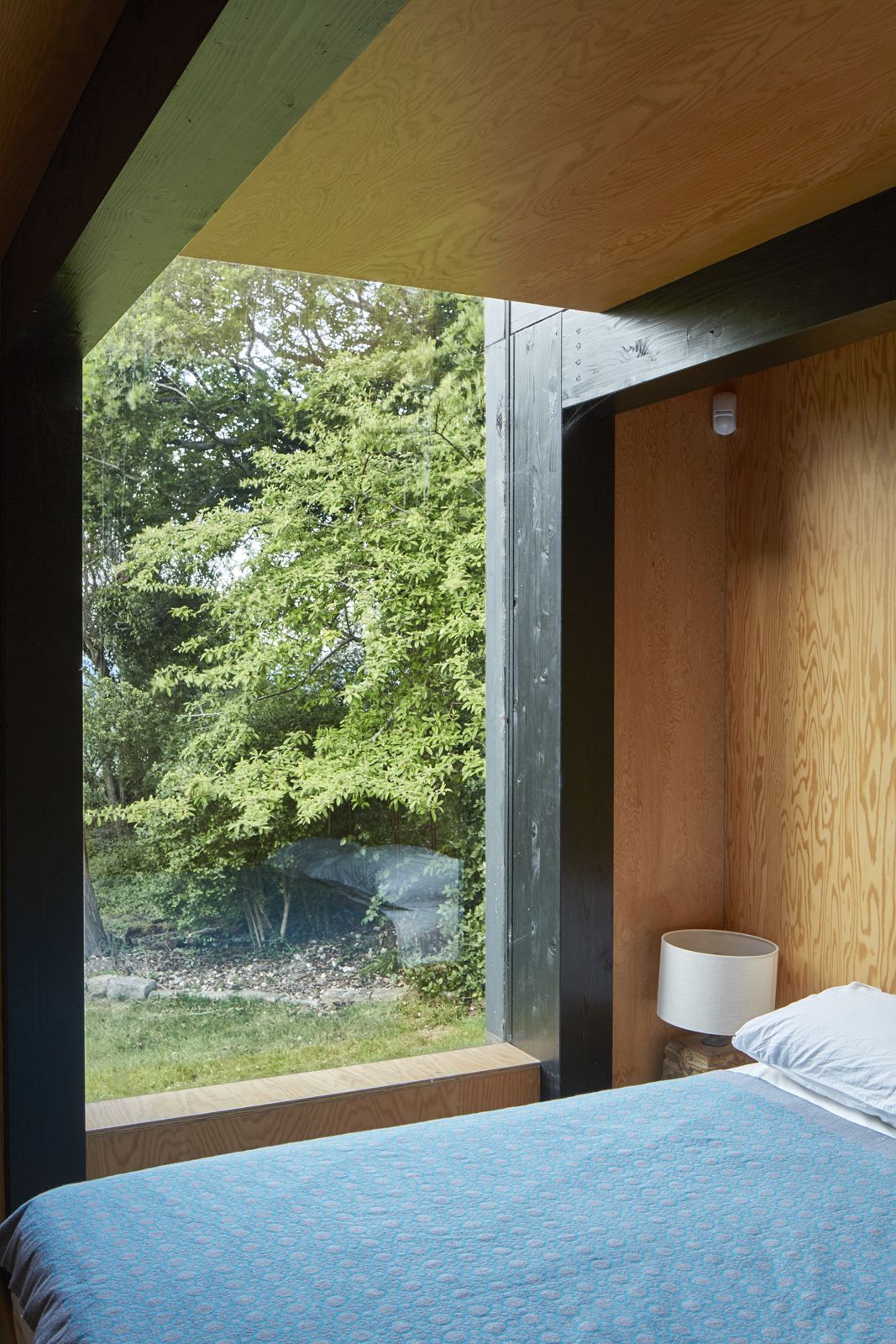 Douglas Fir plywood for wall lining & cladding