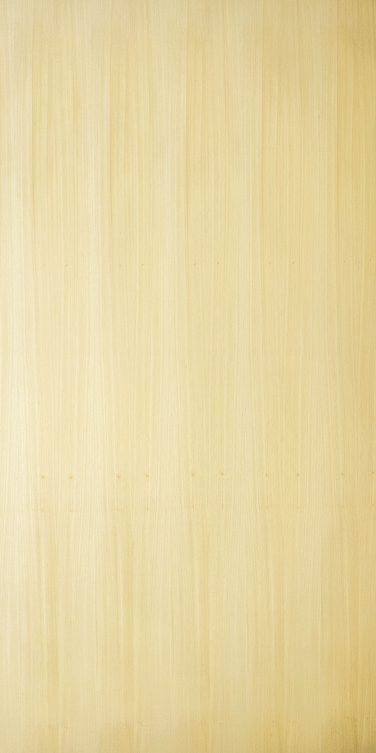 Koto Faced Plywood
