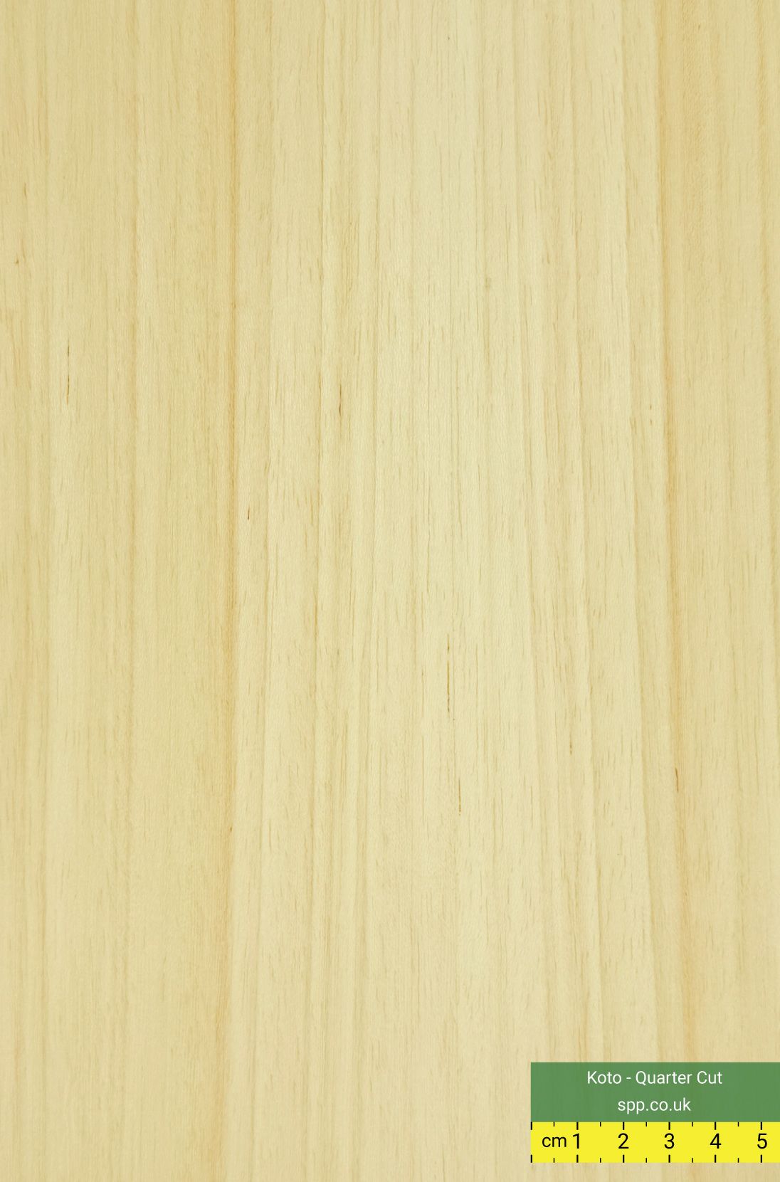Koto Veneered Plywood
