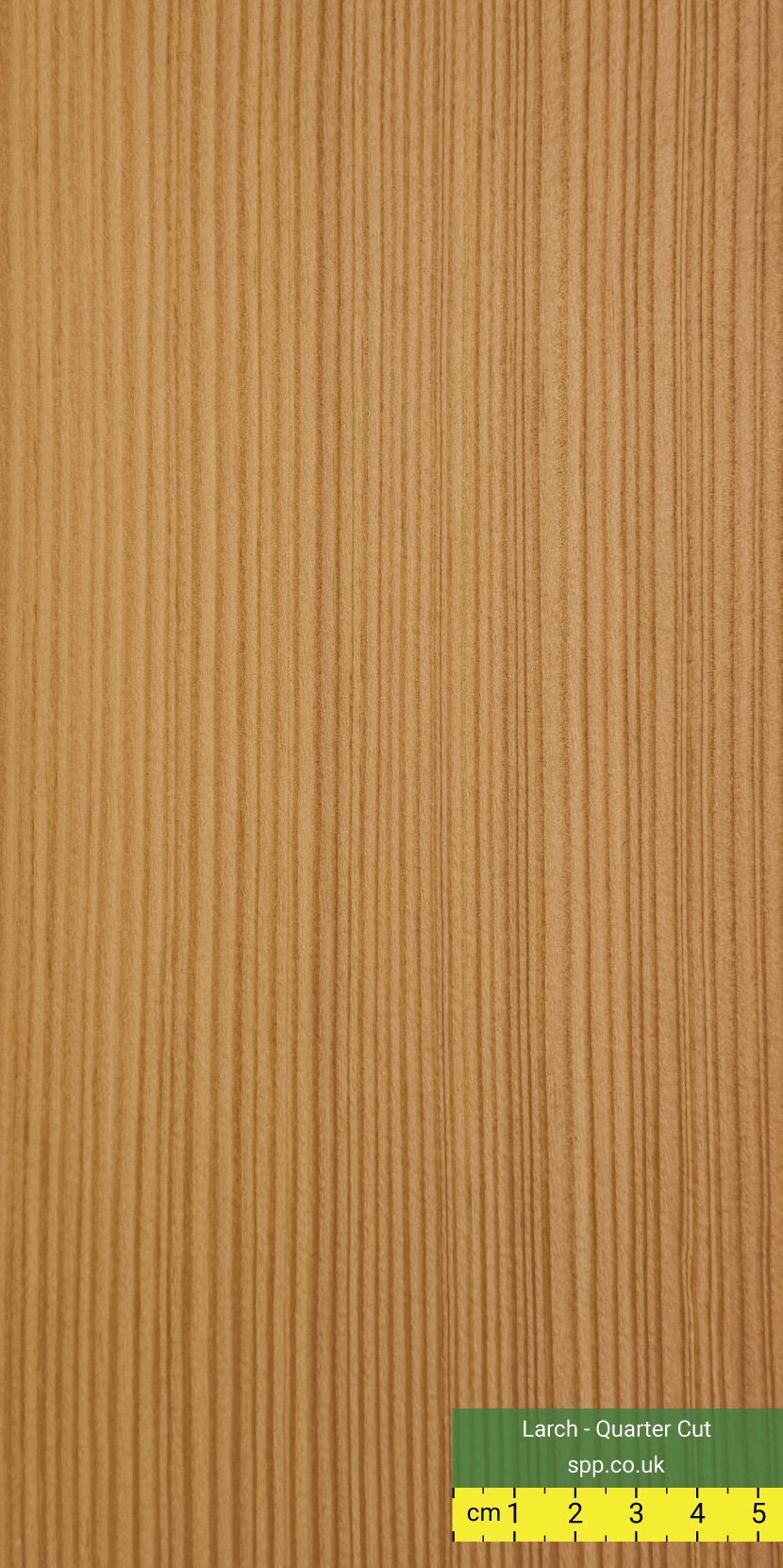 Larch Quarter Cut Veneered Panels