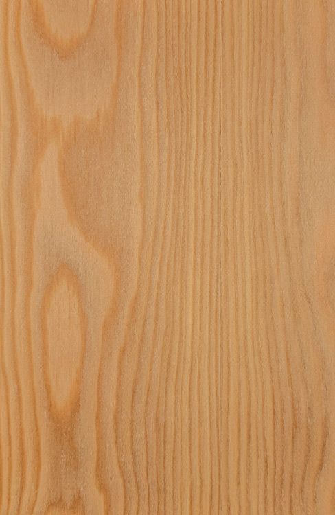 Larch Veneered Plywood Panels