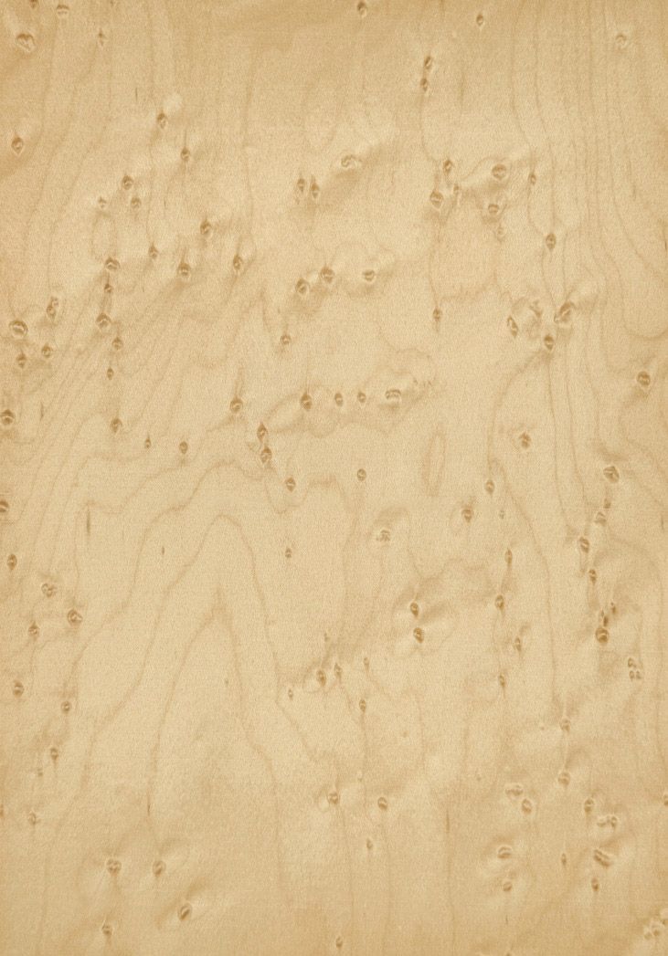 Birds Eye Maple panels plywood MDF